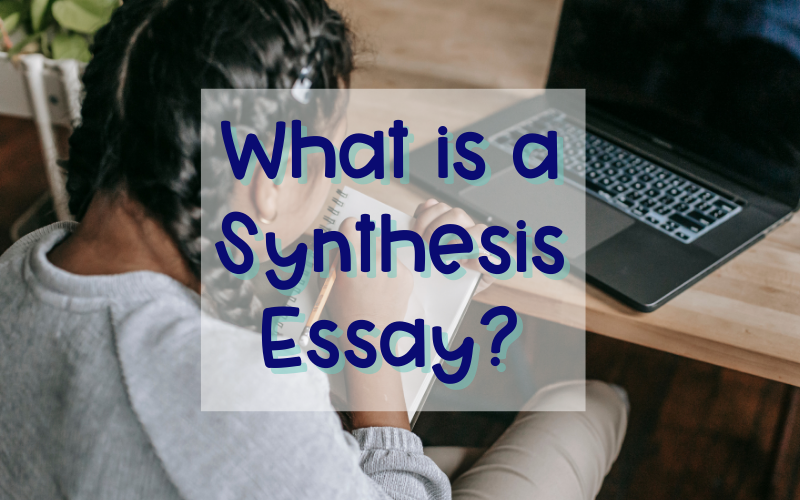 synthesis essay coach hall writes